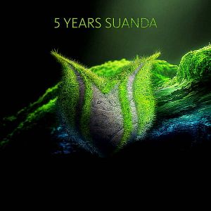5 Years Suanda (MP3)