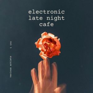 Electronic Late Night Cafe, Vol. 1